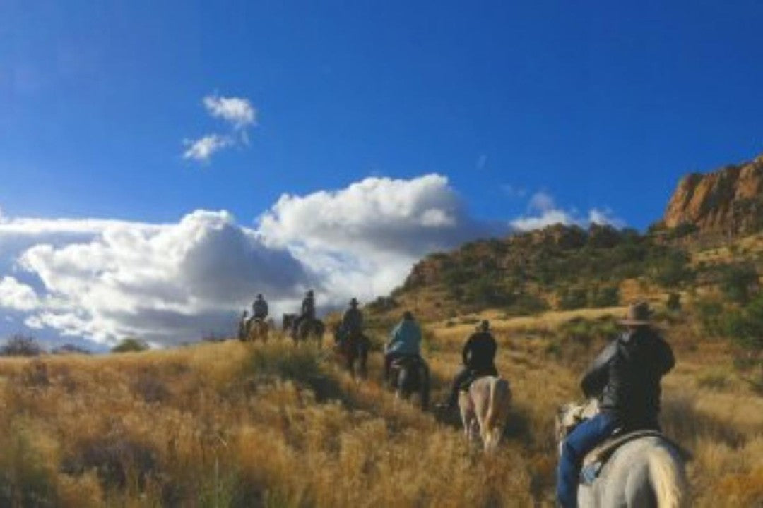 Elgin: Ancient Horseback Ride Adventure + Pick-up Available