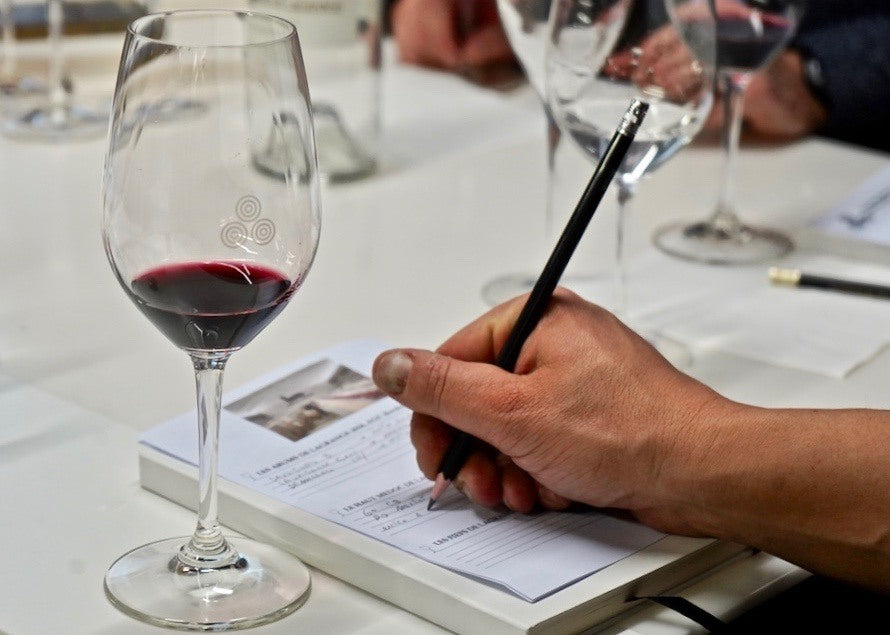 Prestige Red & White Wine Tasting in Bordeaux
