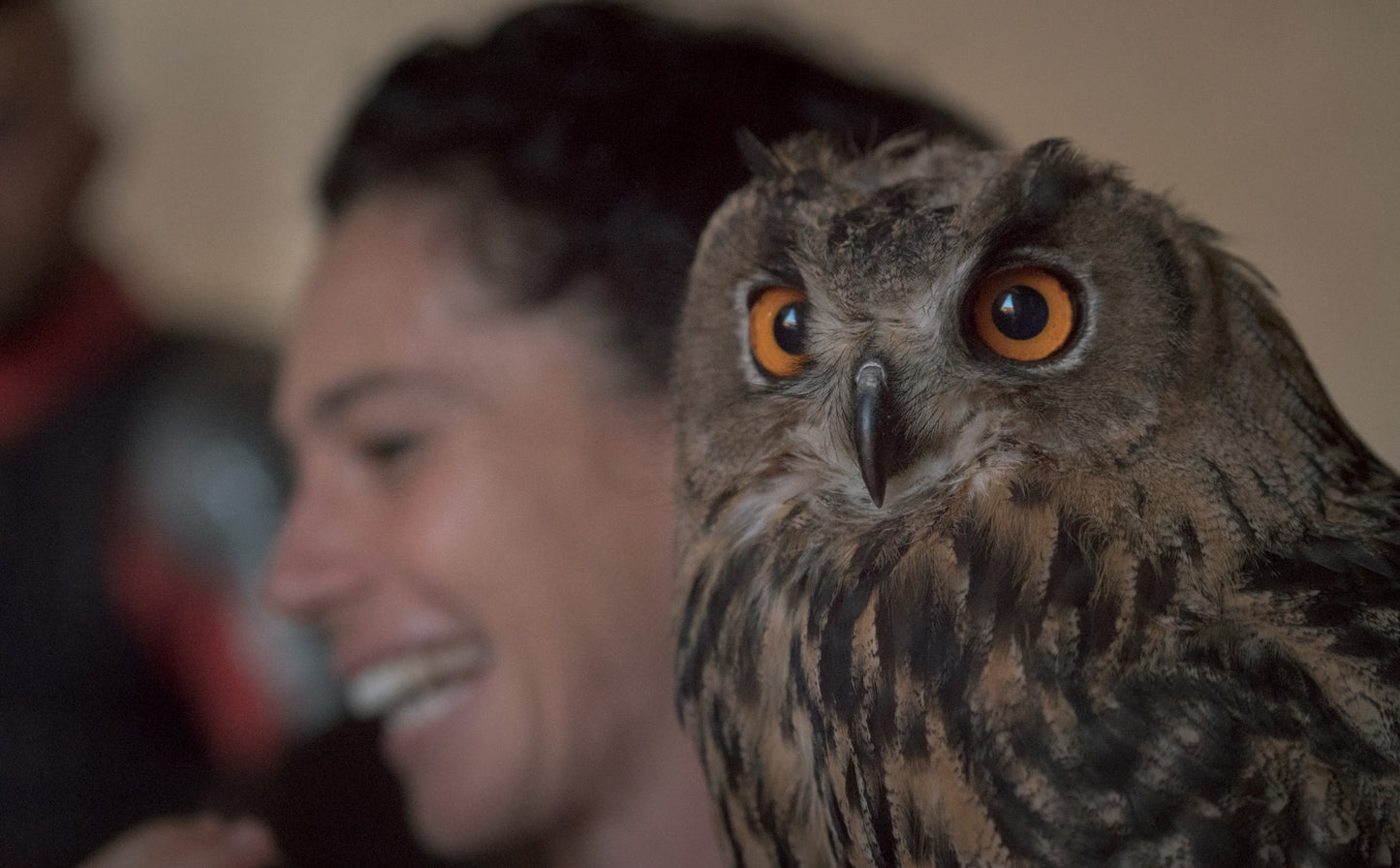 Wine & Falconry in Tuscany