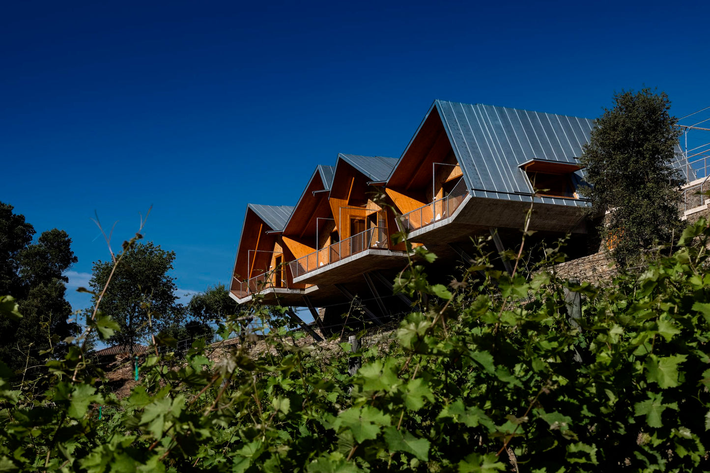 Quinta da Faísca Wine Tasting Experiences