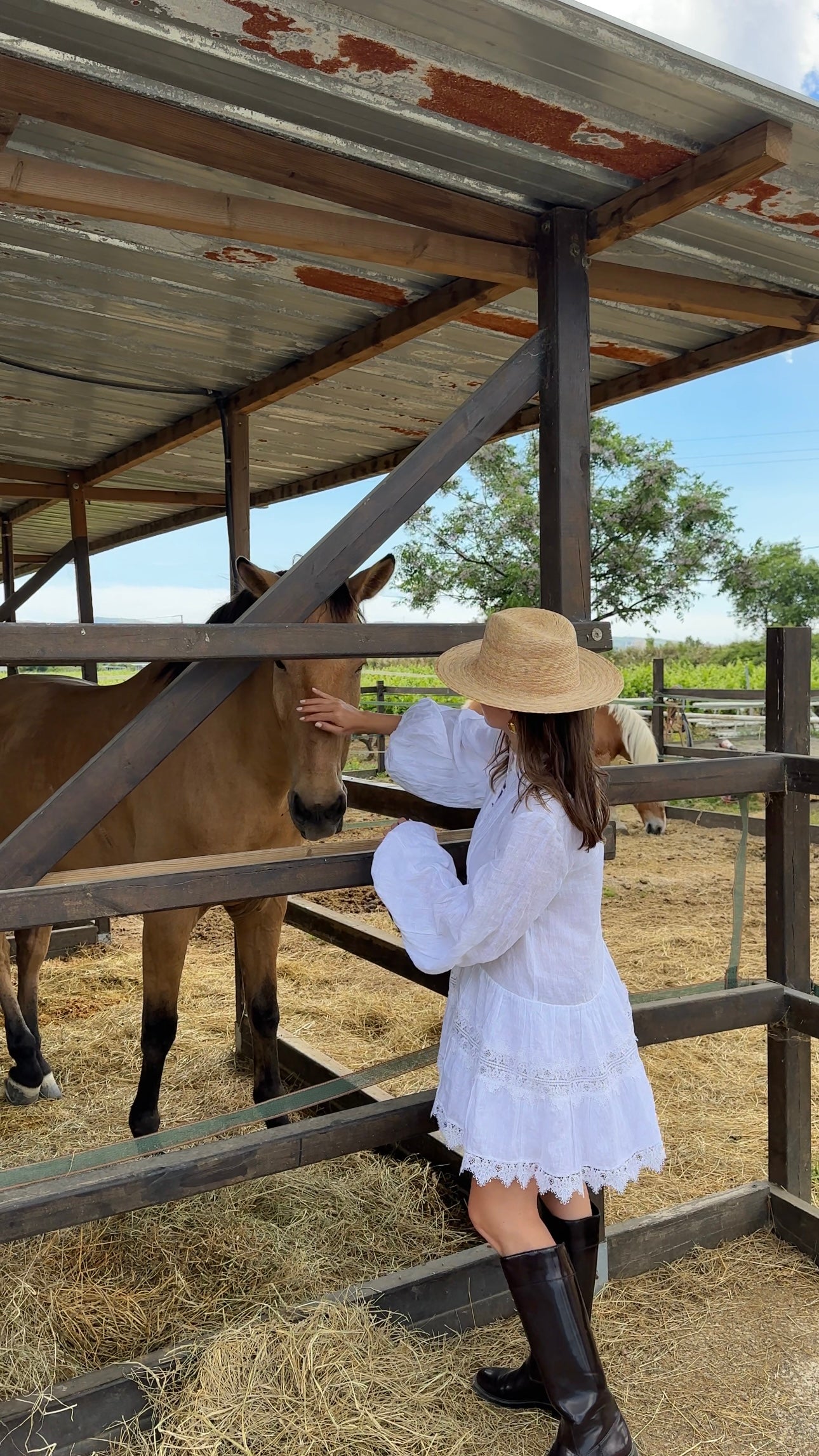 Pululahua, Ecuador: Full Day Volcano & Cloud Forest Horse Ride + Lunch