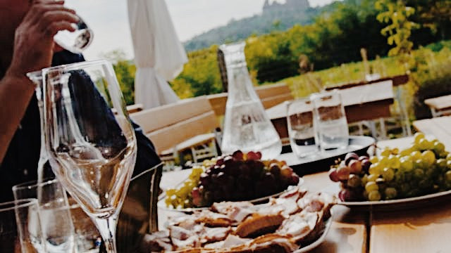 Half-Day Exclusive Wine Tasting and Lunch in the Austrian Countryside Weinviertel