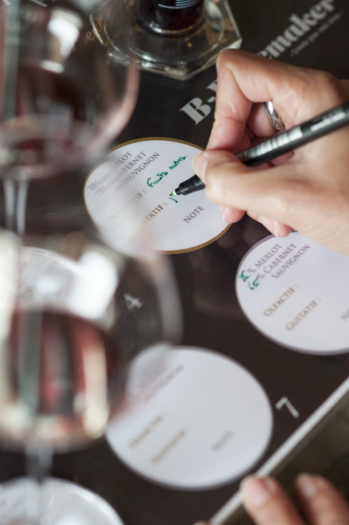 VIP Experience in Saint-Emilion