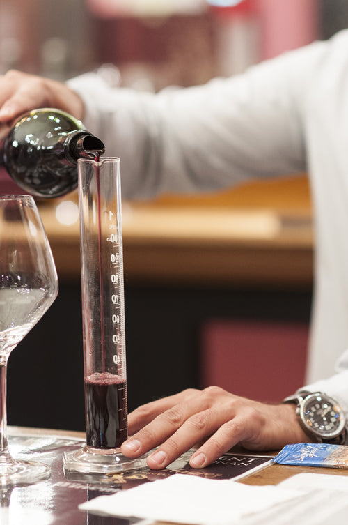 VIP Experience in Saint-Emilion