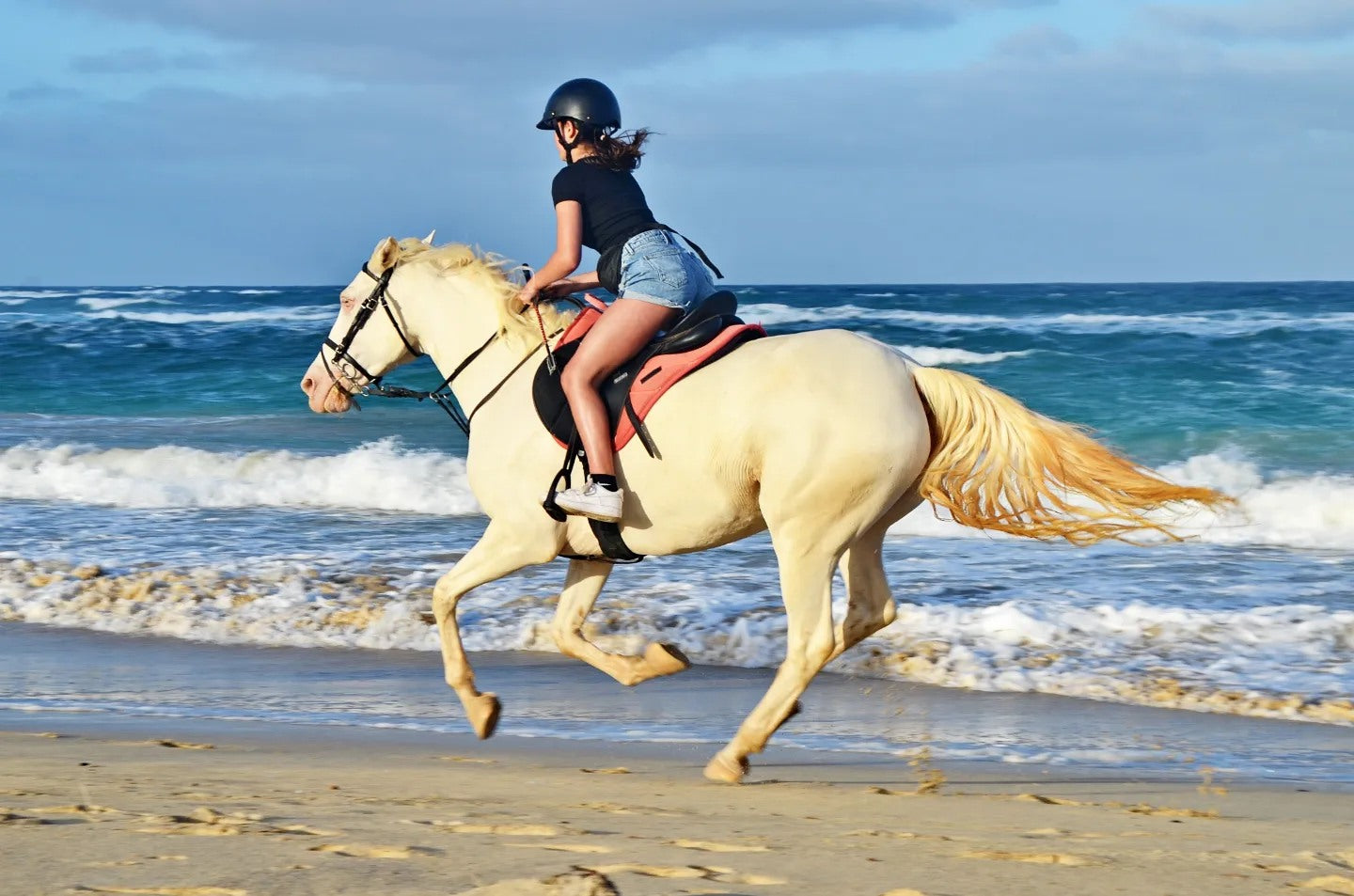 Sal Island, Cape Verde: Salt Flats, Kite Beach & Sand Dunes Horseback Trail