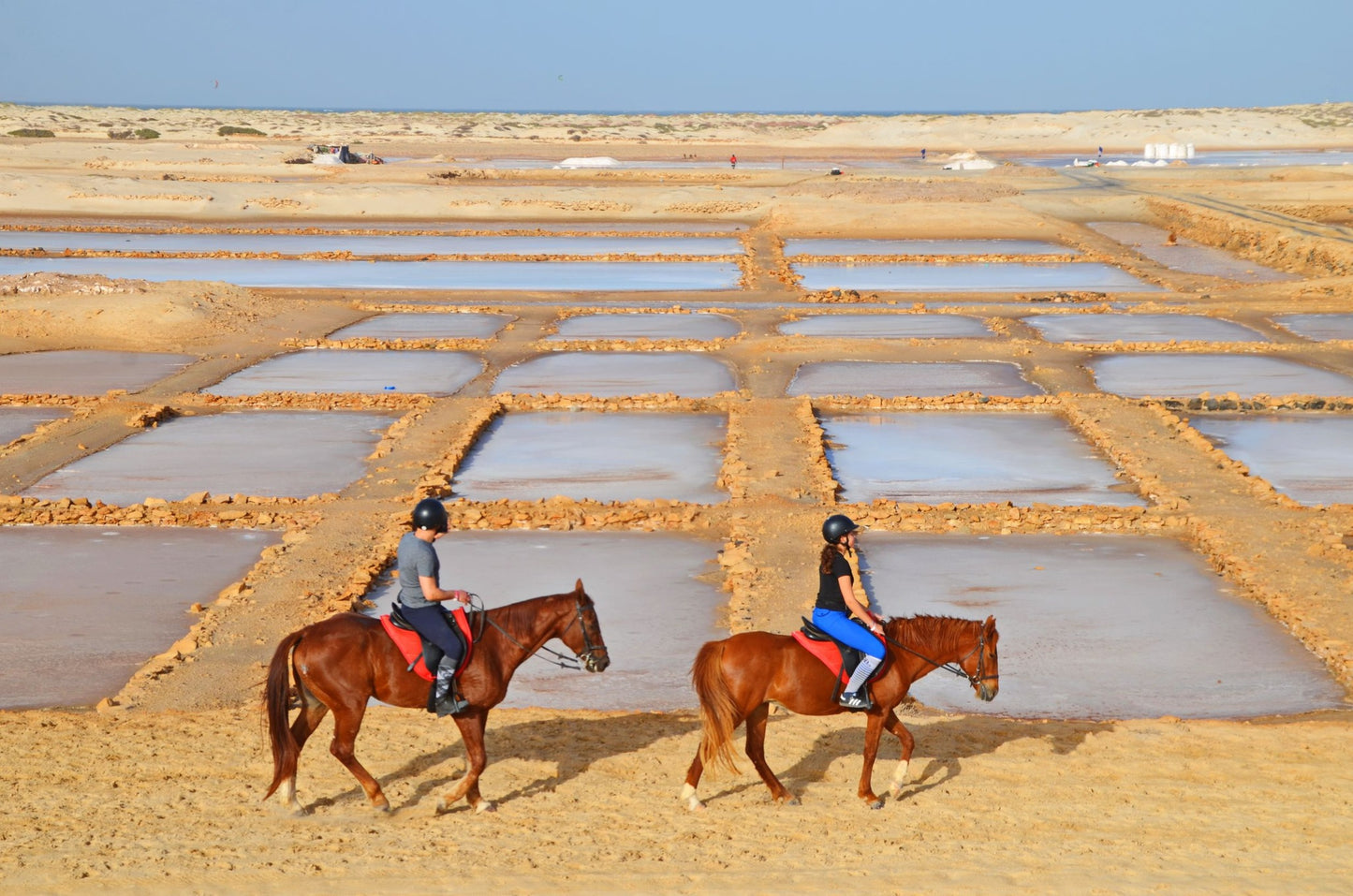 Sal Island, Cape Verde: Salt Flats, Kite Beach & Sand Dunes Horseback Trail