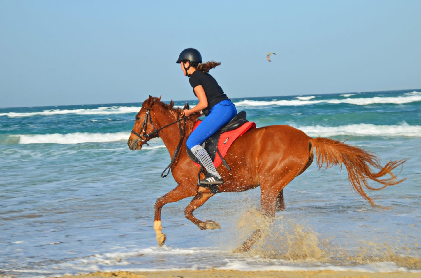 Sal Island, Cape Verde: Salt Flats, Kite Beach & Sand Dunes Horseback Trail