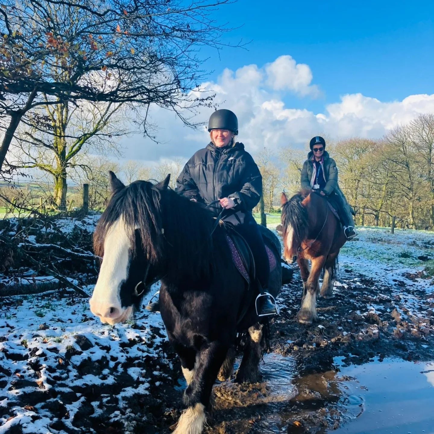 North Antrim: Private Gallop & Glide Thrill Rides + Pick-up Available