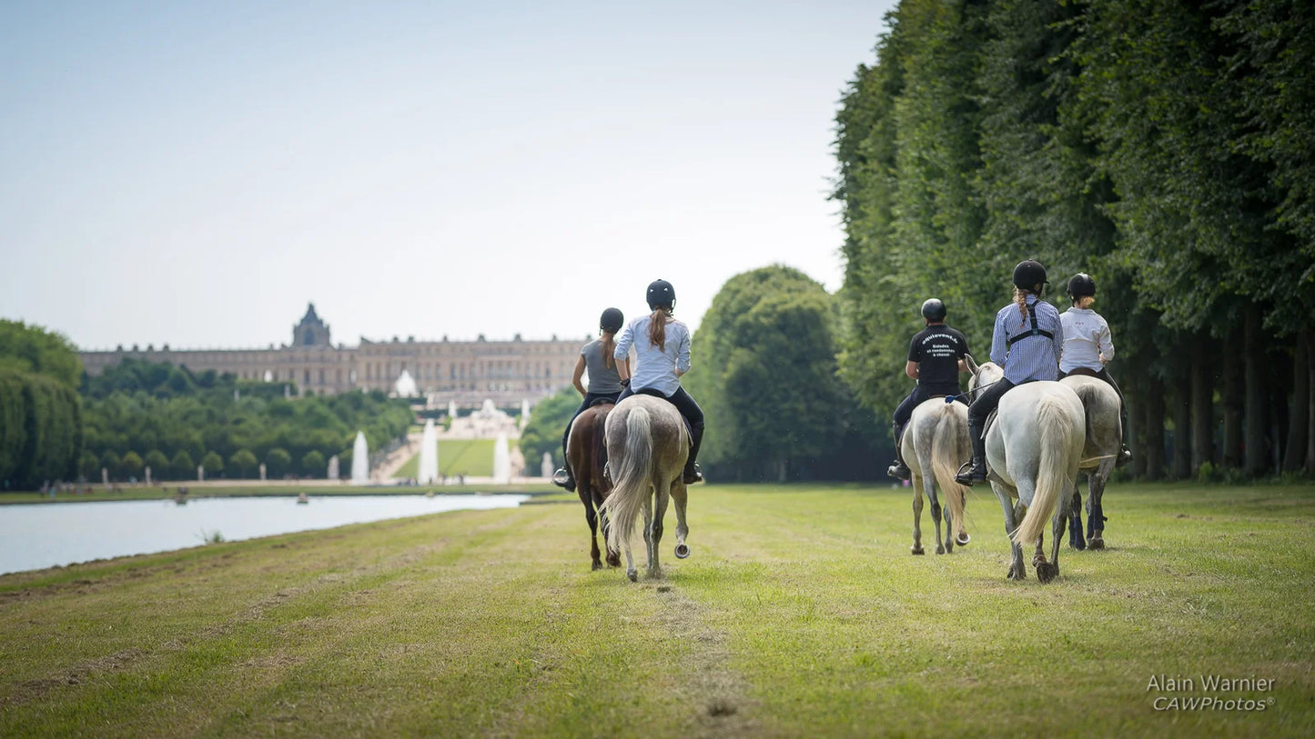 Versailles on Horseback