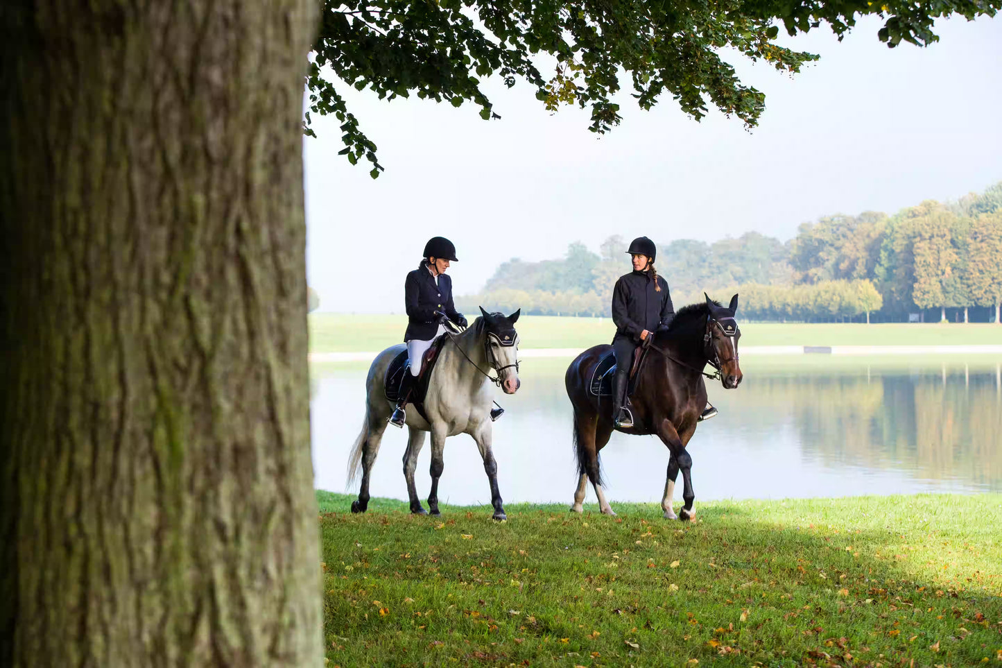 Versailles on Horseback