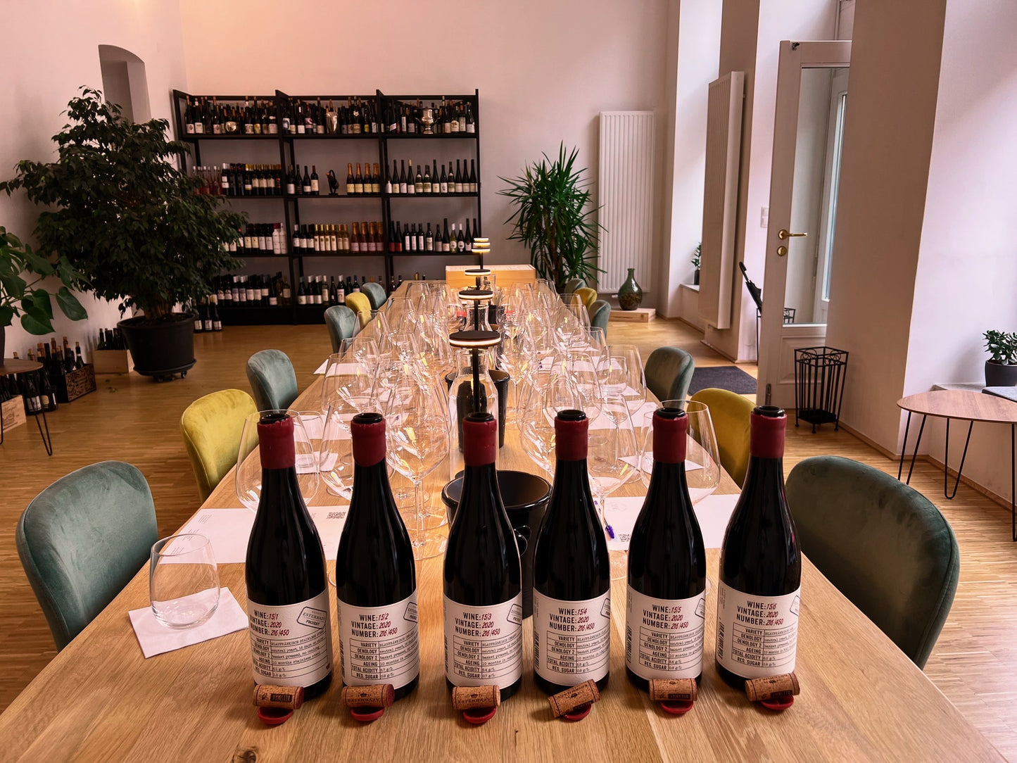 Premium Wine and Cheese Tasting Experience in Vienna