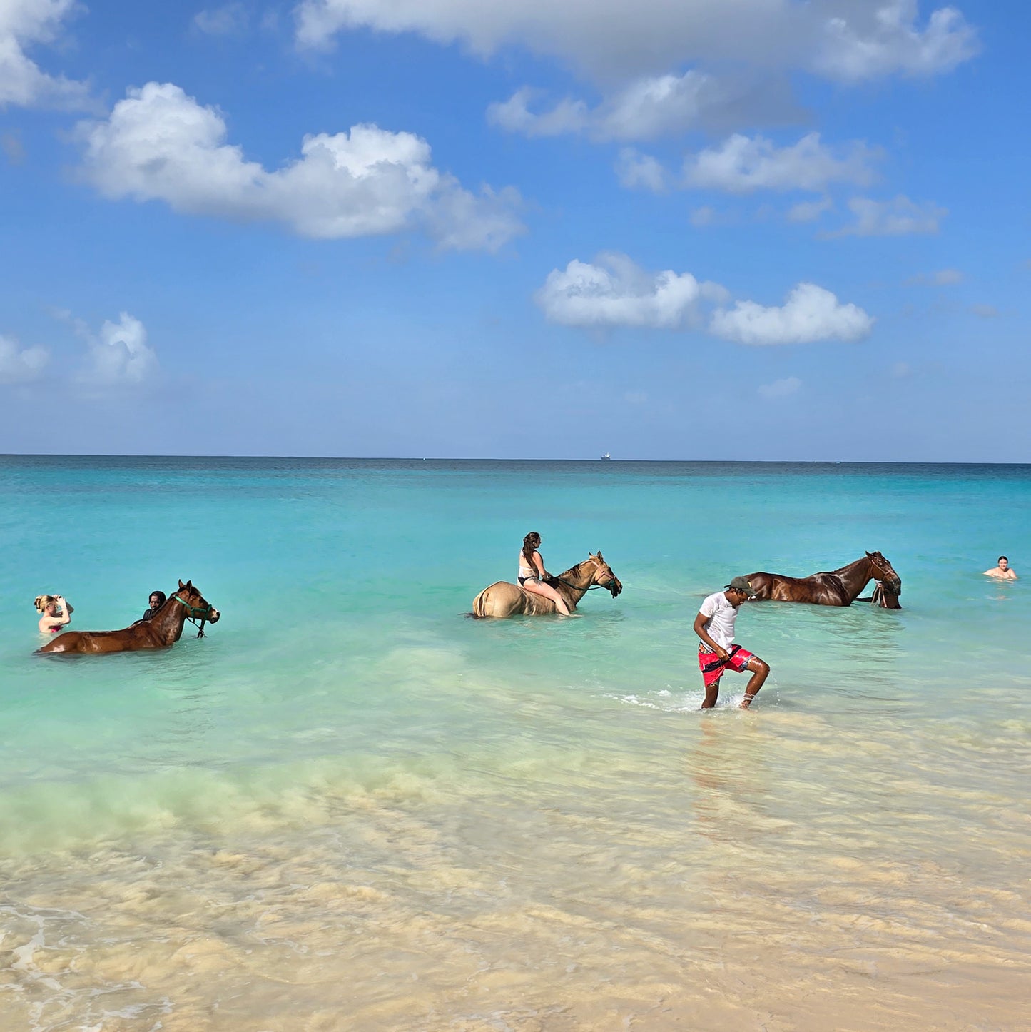 Brighton Beach, Barbados: 1.5-Hour Beach Ride & Swim with Horses
