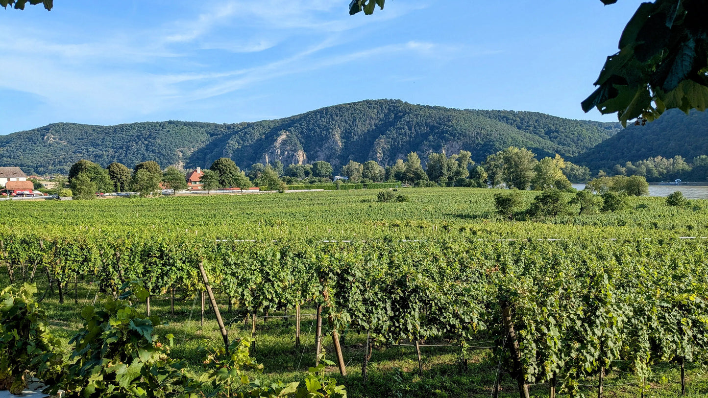 Wachau by Kayak: Full-Day Scenic Escape from Vienna