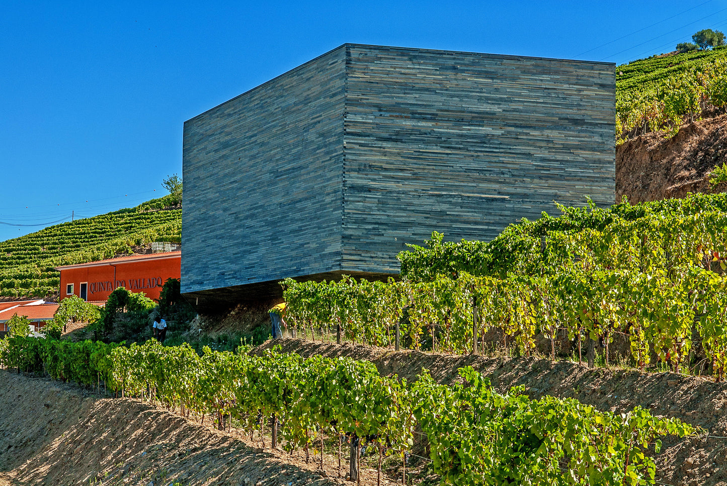 Special Tastings at Quinta do Vallado near Porto
