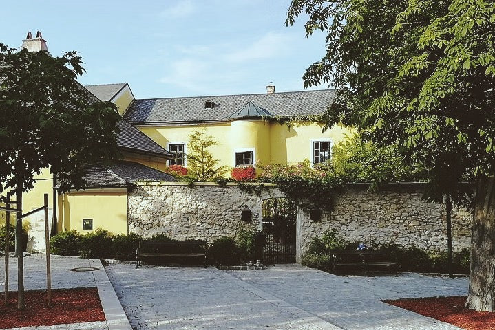 Wine & Hike Through the Vienna Woods
