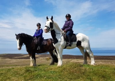 County Antrim: Private Into the Woods Horseback Ride Trek + Pick-up Available