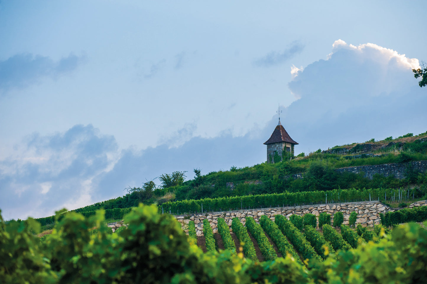 Exclusive Saint-Emilion Getaway