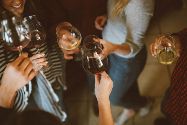 Scenic Wine Tour with Traditional Dinner in the Austrian Countryside