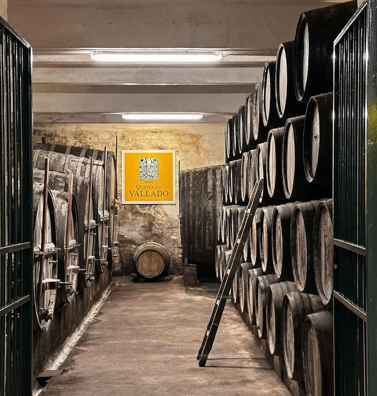 Special Tastings at Quinta do Vallado near Porto