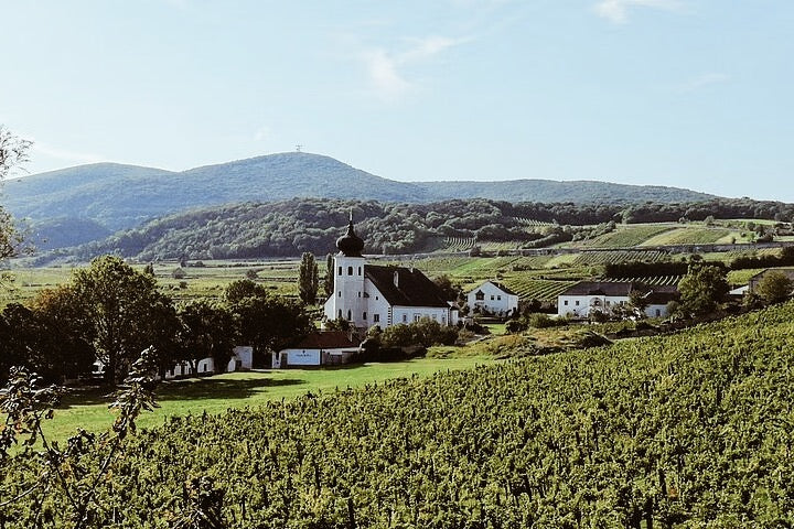Wine & Hike Through the Vienna Woods