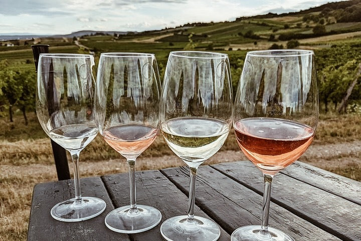 Wine & Hike Through the Vienna Woods