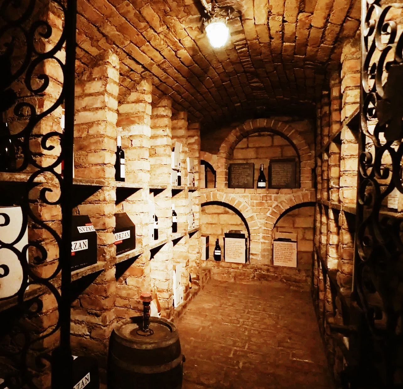 Scenic Wine Tour with Traditional Dinner in the Austrian Countryside