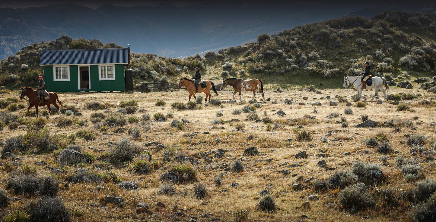 A Scenic Ride in the Patagonian Wilderness
