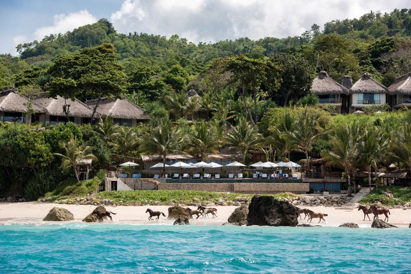 Swimming with Horses on Nihiwatu Beach
