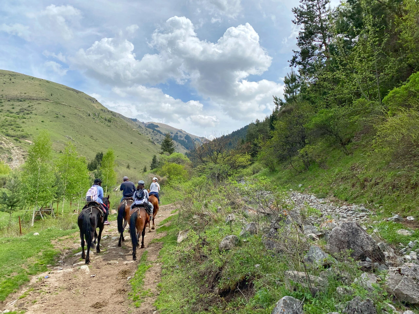 Horseback Riding & Cultural Day Trip in Chon Kemin Valley