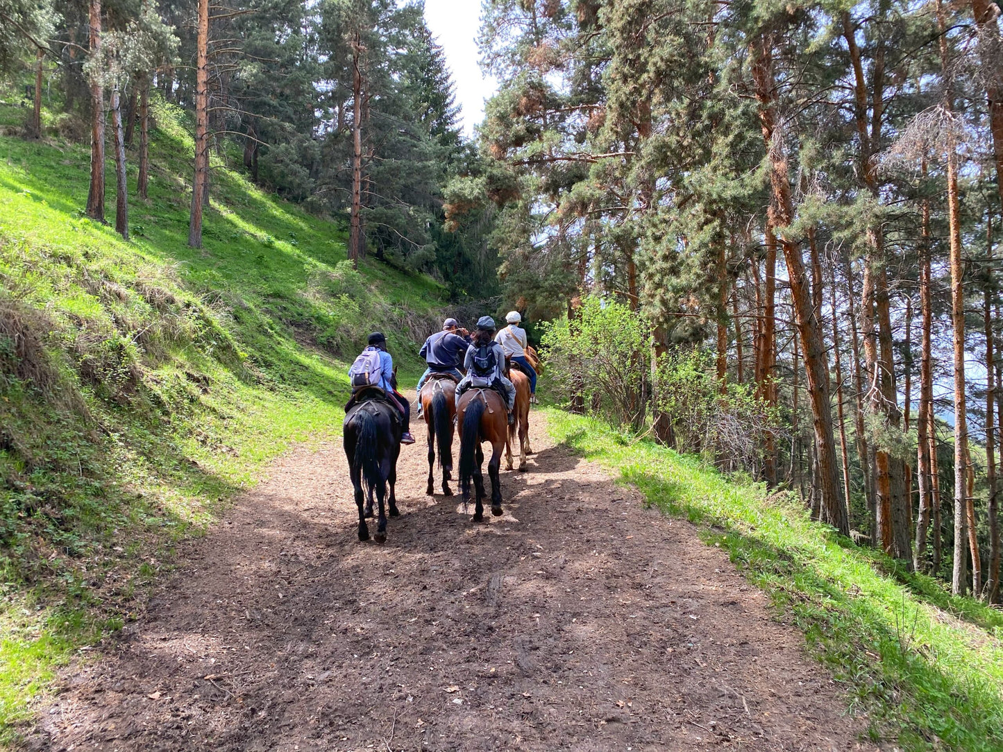 Horseback Riding & Cultural Day Trip in Chon Kemin Valley