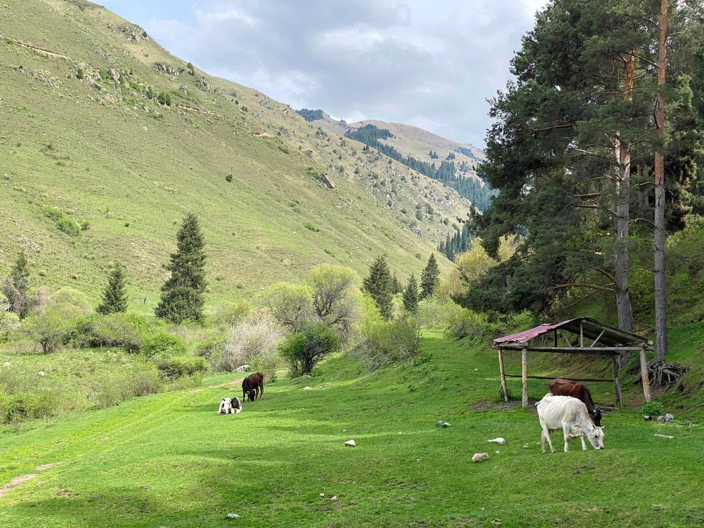 Horseback Riding & Cultural Day Trip in Chon Kemin Valley