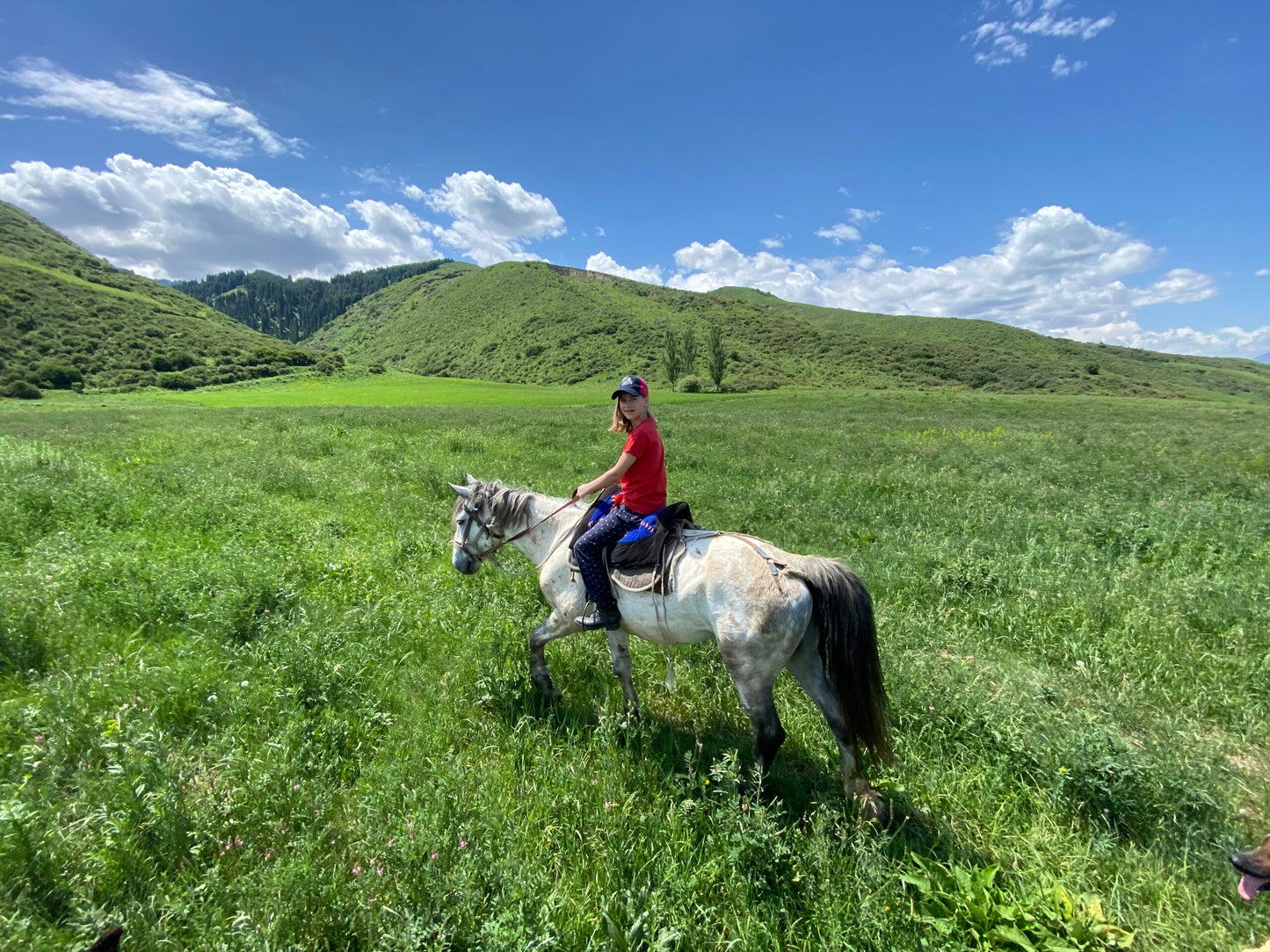 Horseback Riding & Cultural Day Trip in Chon Kemin Valley