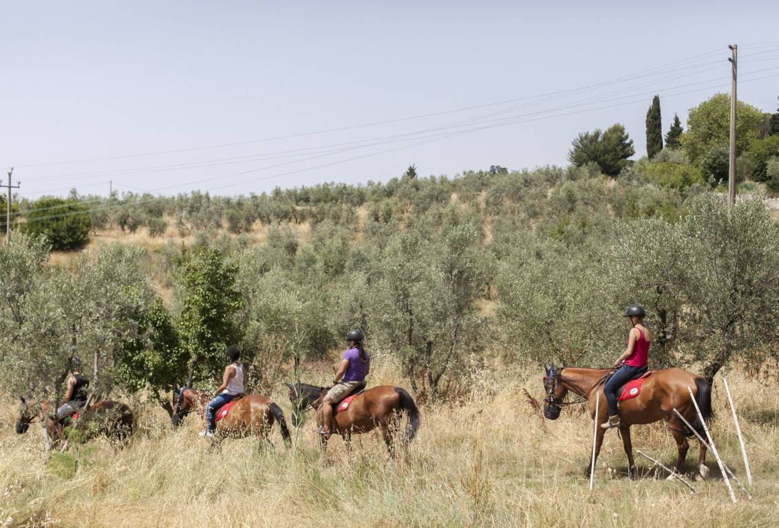 Private Horseback Riding near Florence & Wine Tasting