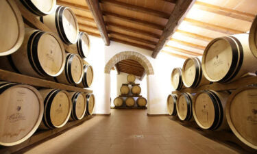 Extra Private Premium Wines of Tuscany Tour