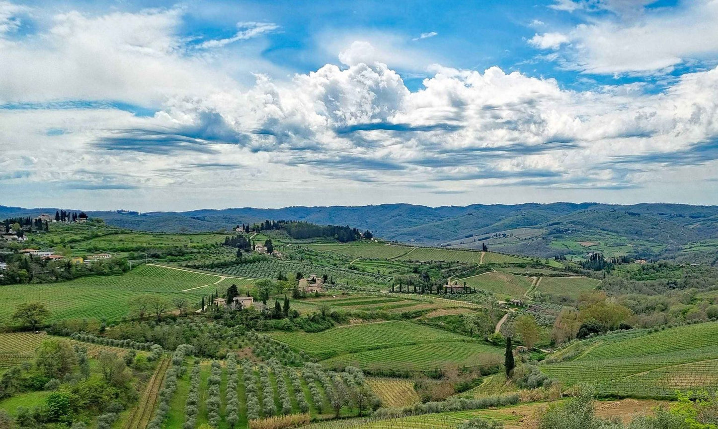 Extra Private Premium Wines of Tuscany Tour