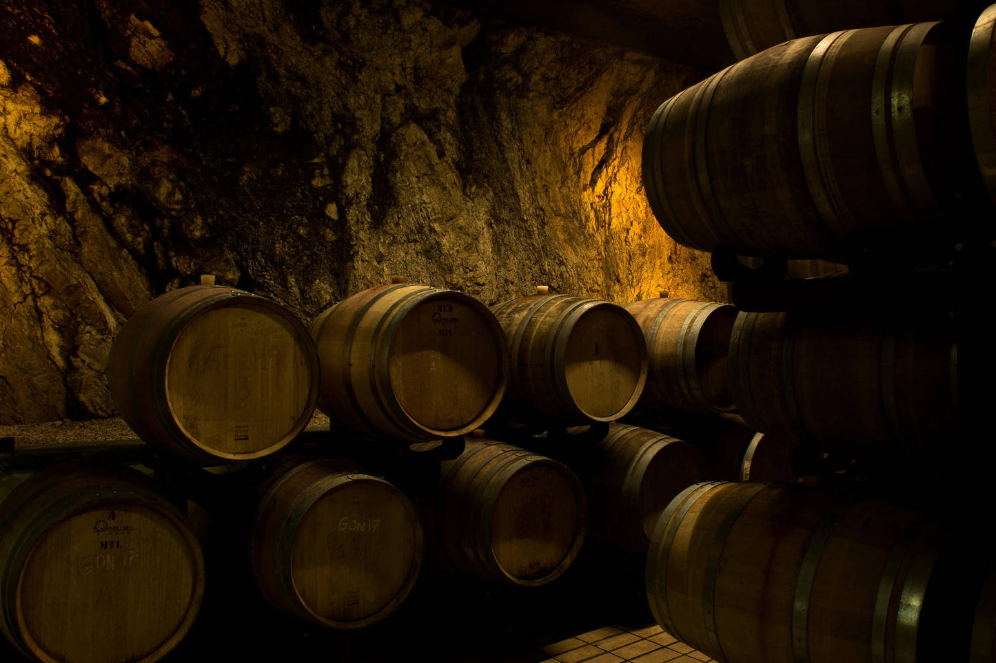 Tuscany: Bolgheri Upside Down Red Wine Tour