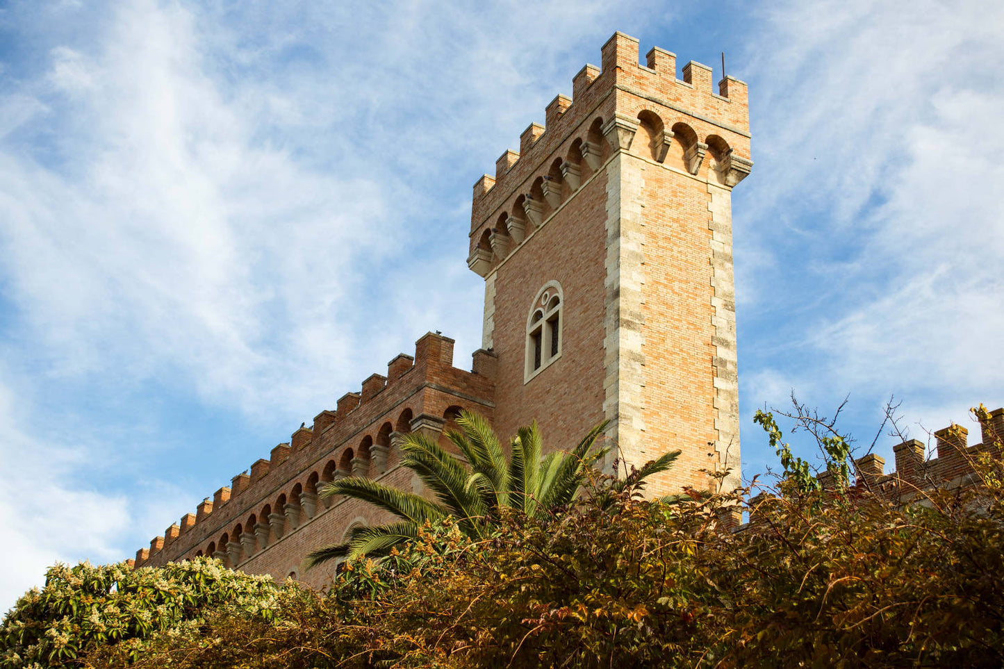 Tuscany: Bolgheri Upside Down Red Wine Tour