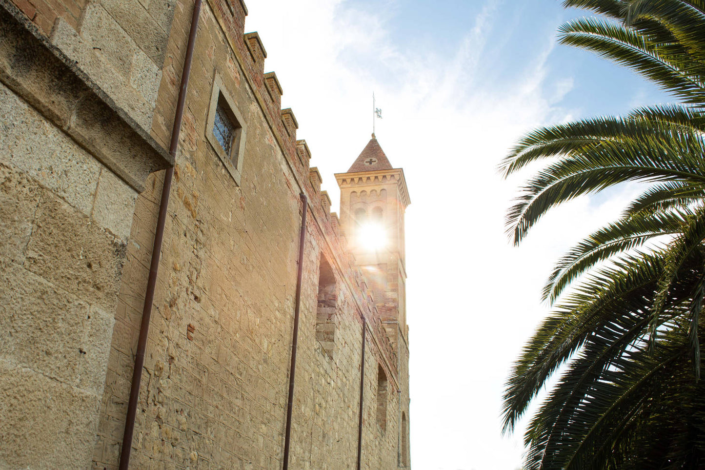 Tuscany: Bolgheri Upside Down Red Wine Tour