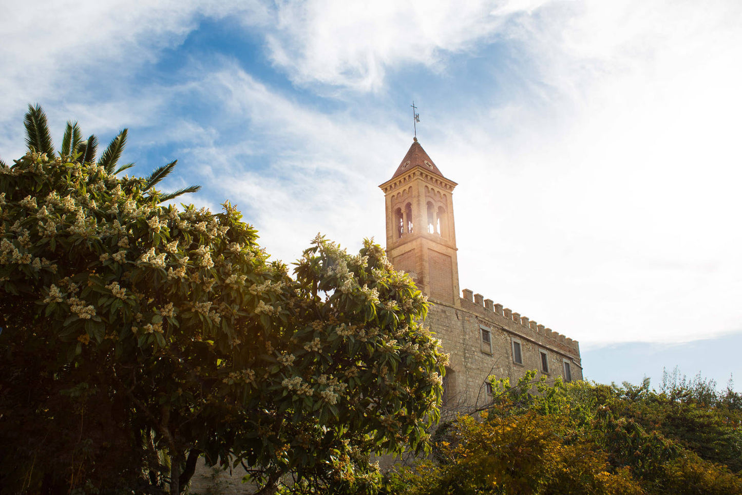 Tuscany: Bolgheri Upside Down Red Wine Tour