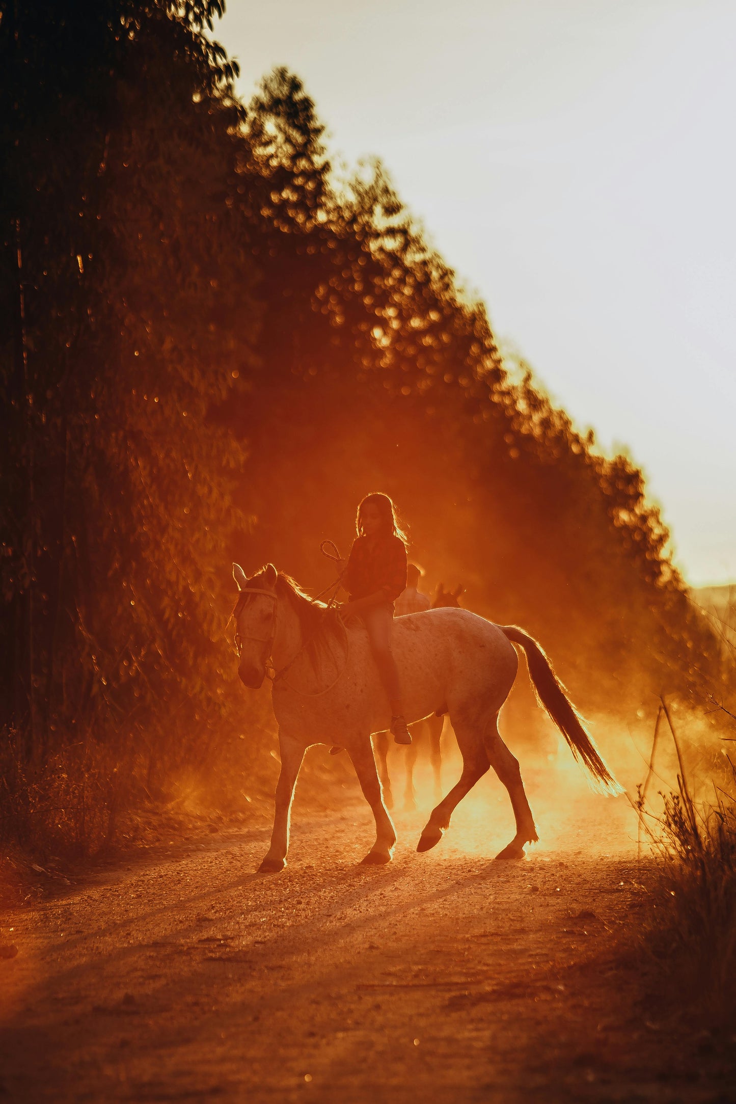 Formentera: Private Horseback Ride Adventure