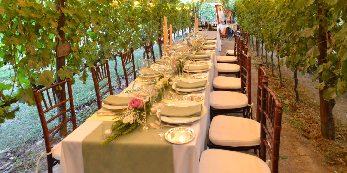 Tuscan Vineyard Dinner & Wine Tasting