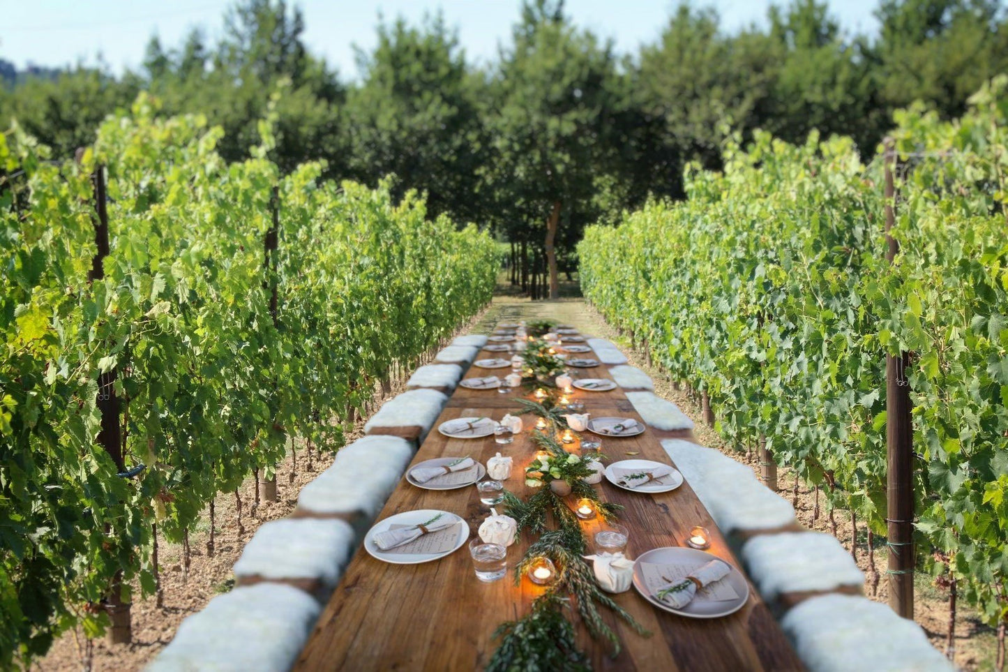 Tuscan Vineyard Dinner & Wine Tasting