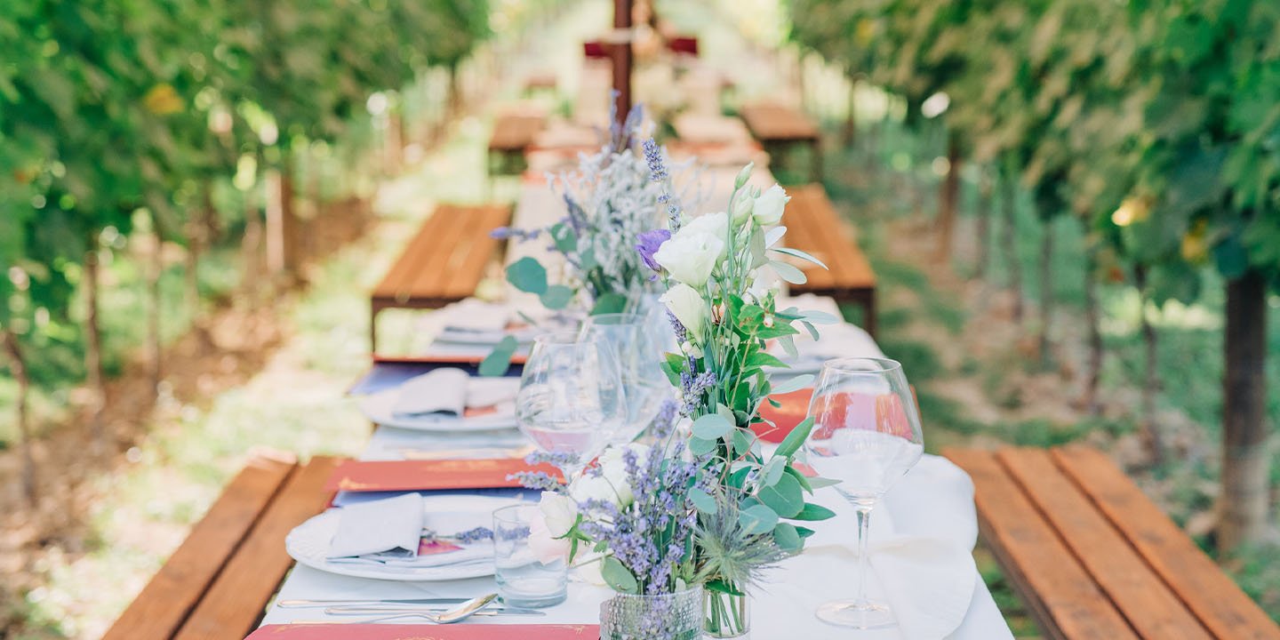 Tuscan Vineyard Dinner & Wine Tasting