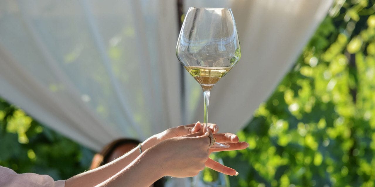 Tuscan Vineyard Dinner & Wine Tasting