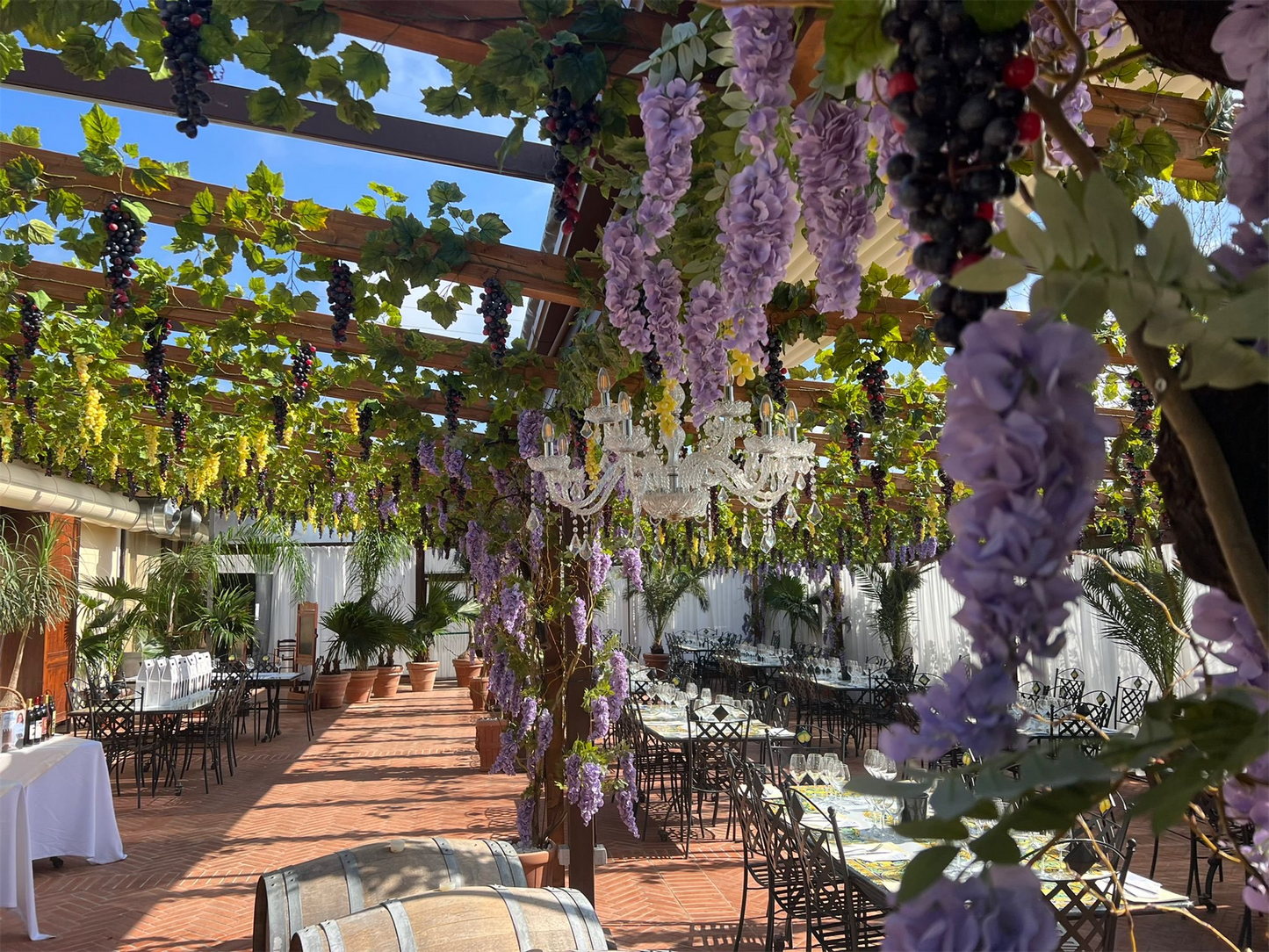 Garden Veranda Dinner & Wine Tasting in Tuscany