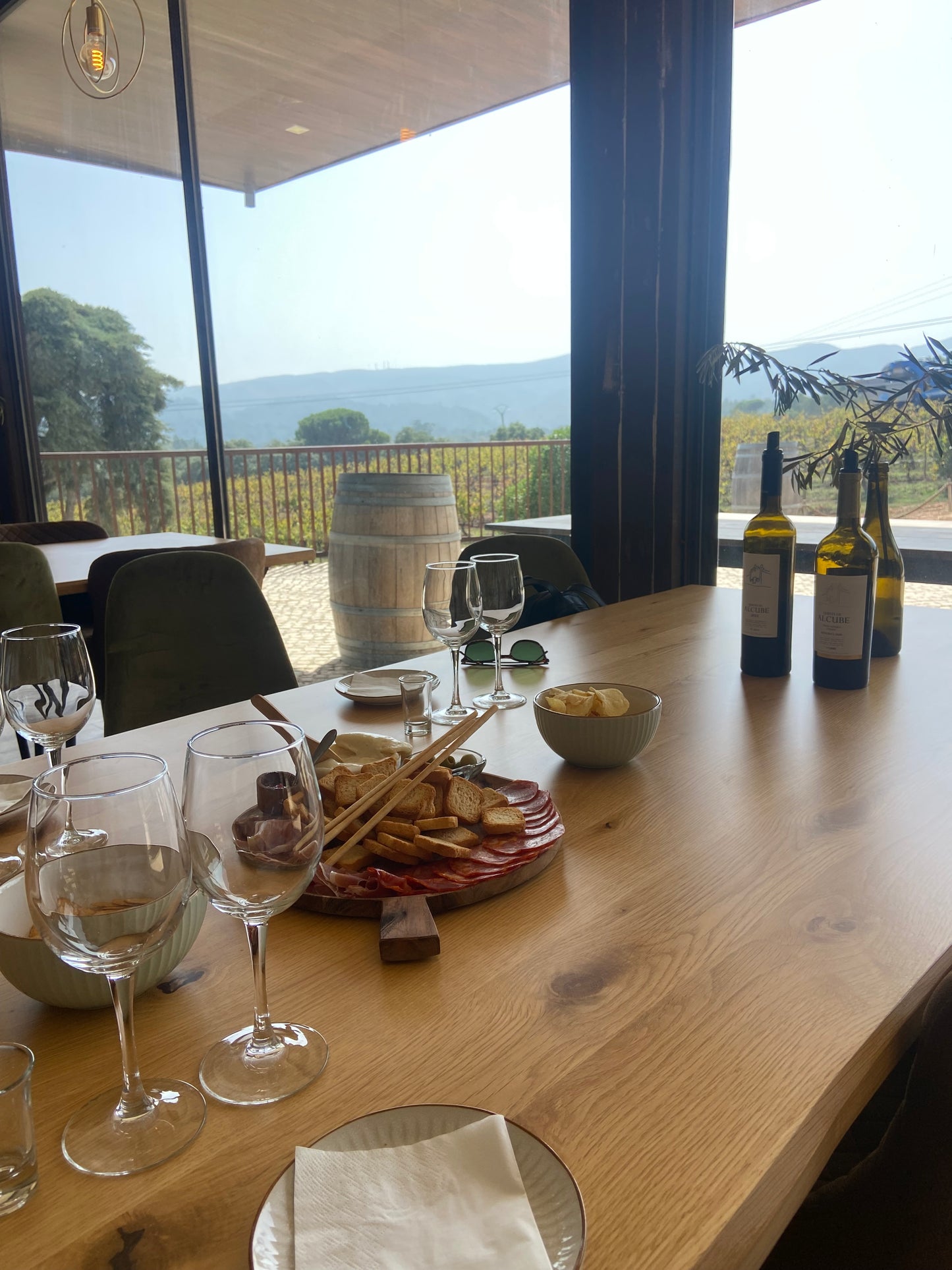 Wine Not? Full day wine tour in Arrábida