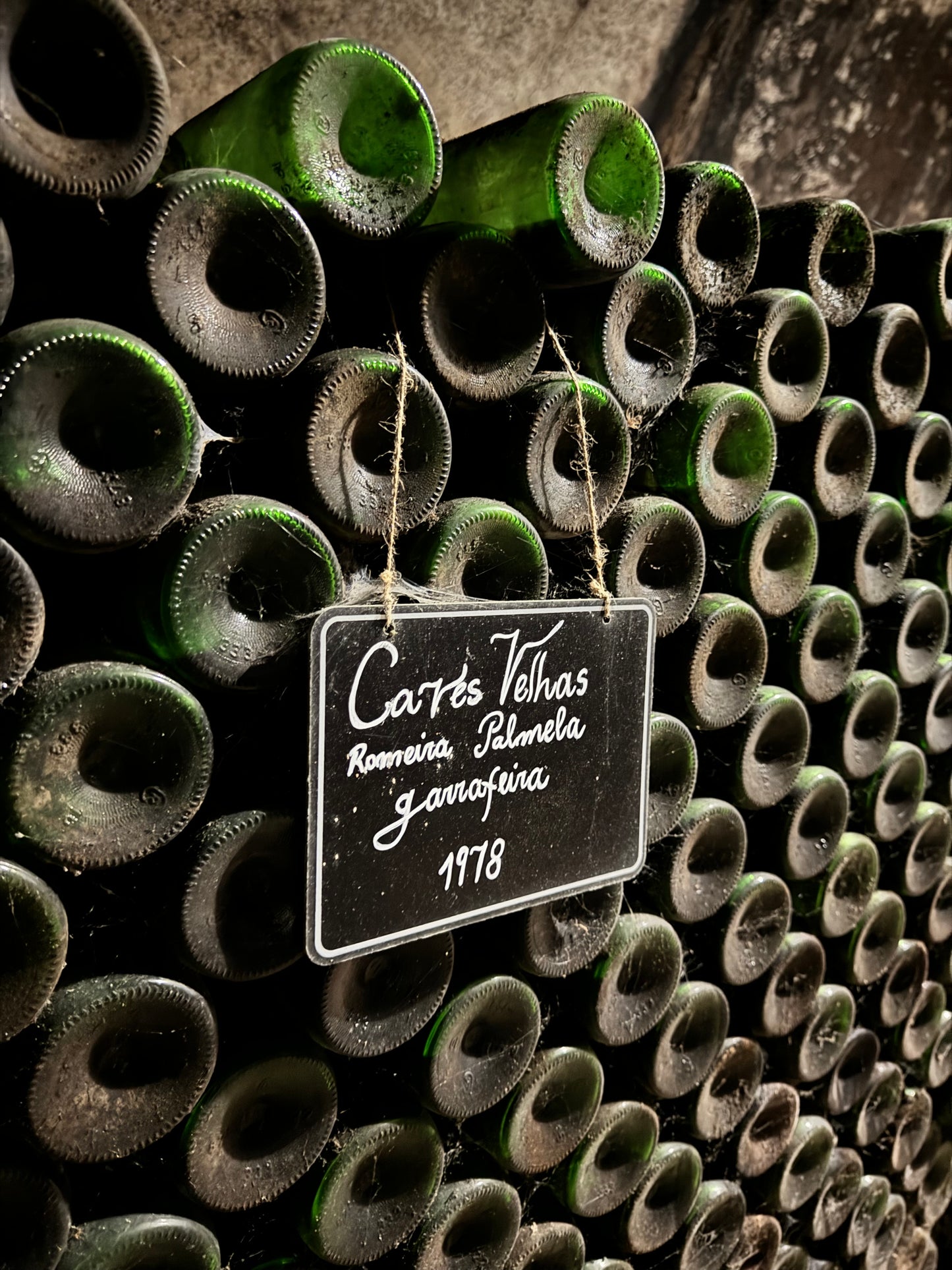 Hidden Gems of North Lisbon with Wine & Food Tasting