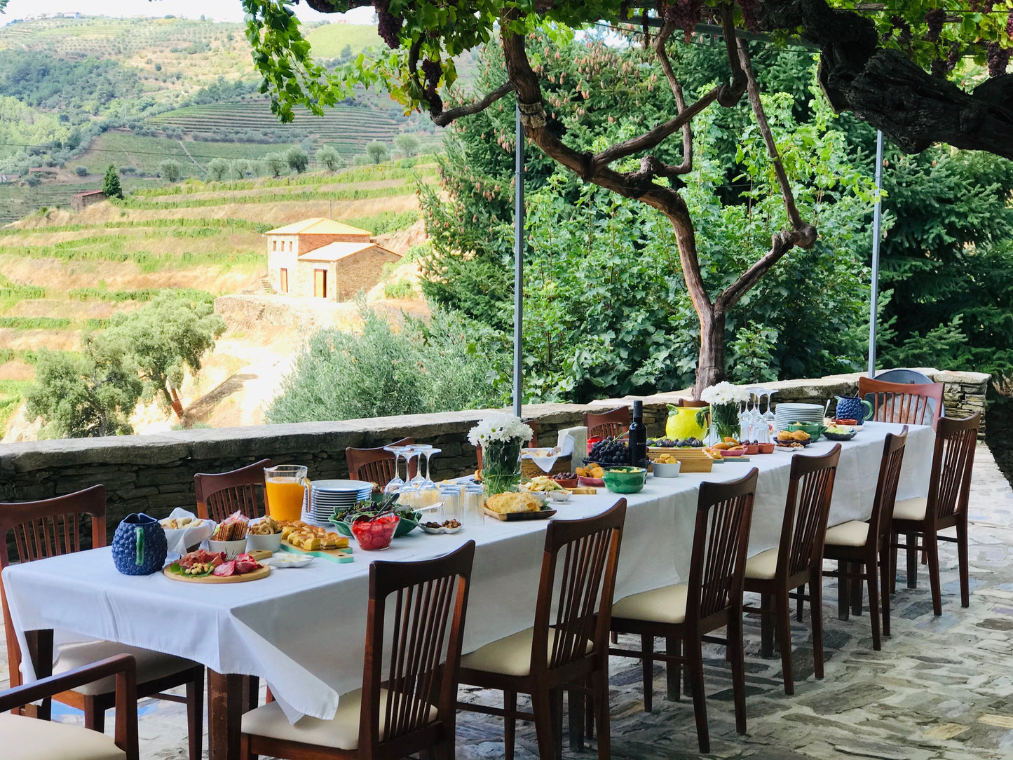 Lunch and Wine Tasting at Quinta da Manoella