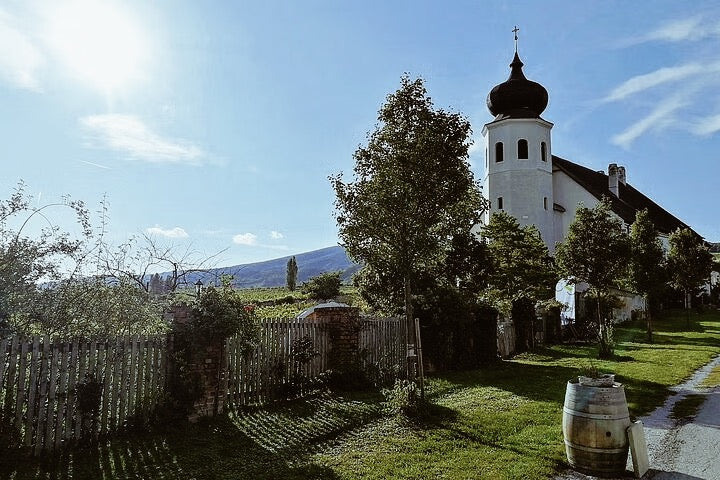 Wine & Hike Through the Vienna Woods