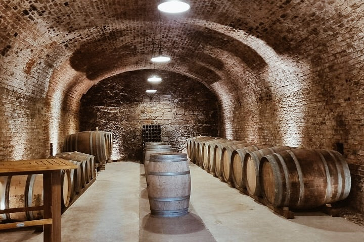 Wine & Hike Through the Vienna Woods